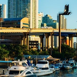 Meet your Posher, Nelson